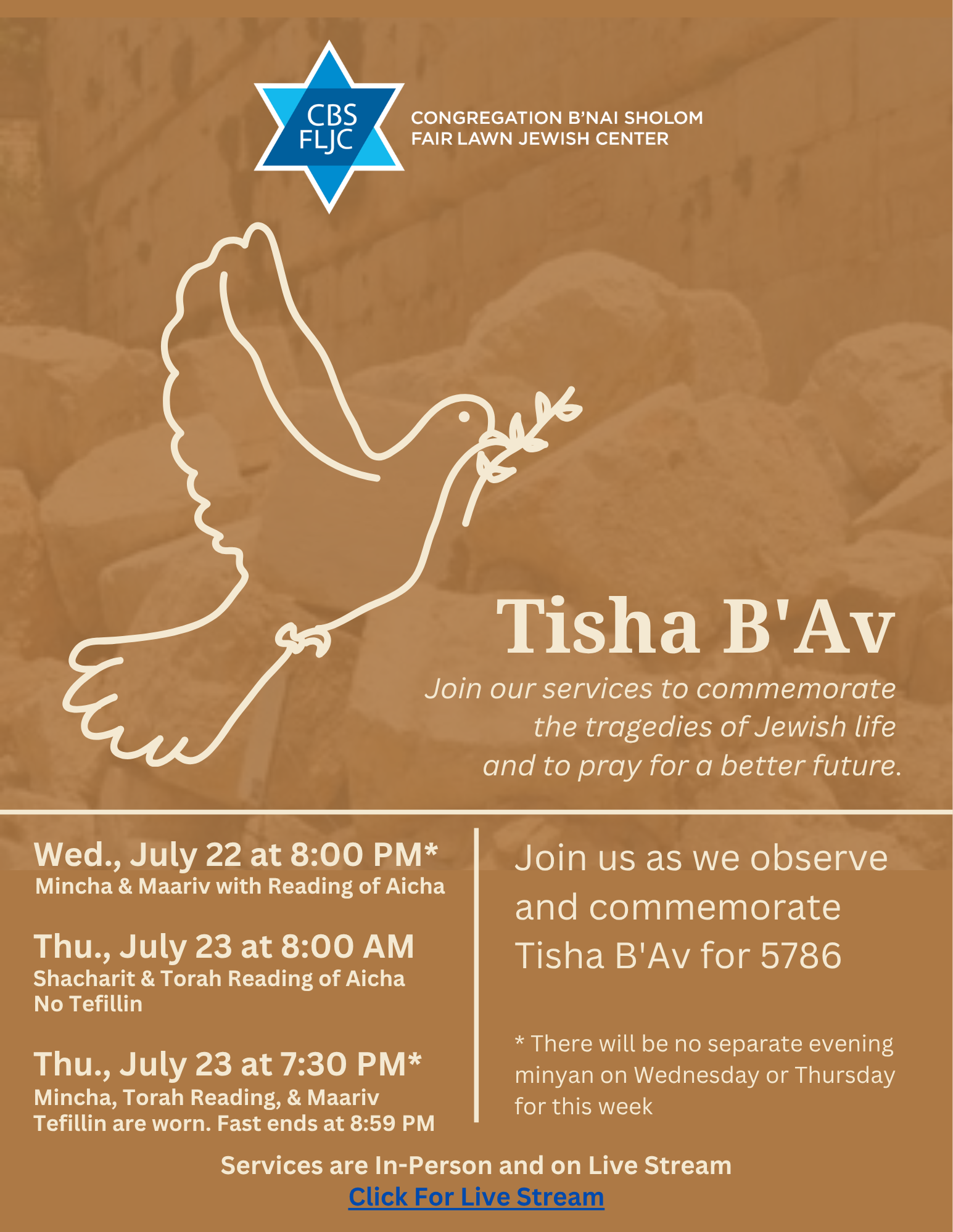 7-22-26 - Tisha B'Av Servicess